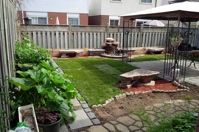 Waterfall feature and backyard