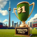 Celebrating Our #1 Spot: Tedot’s Finest Triumphs as Toronto’s Top Sprinkler Company!