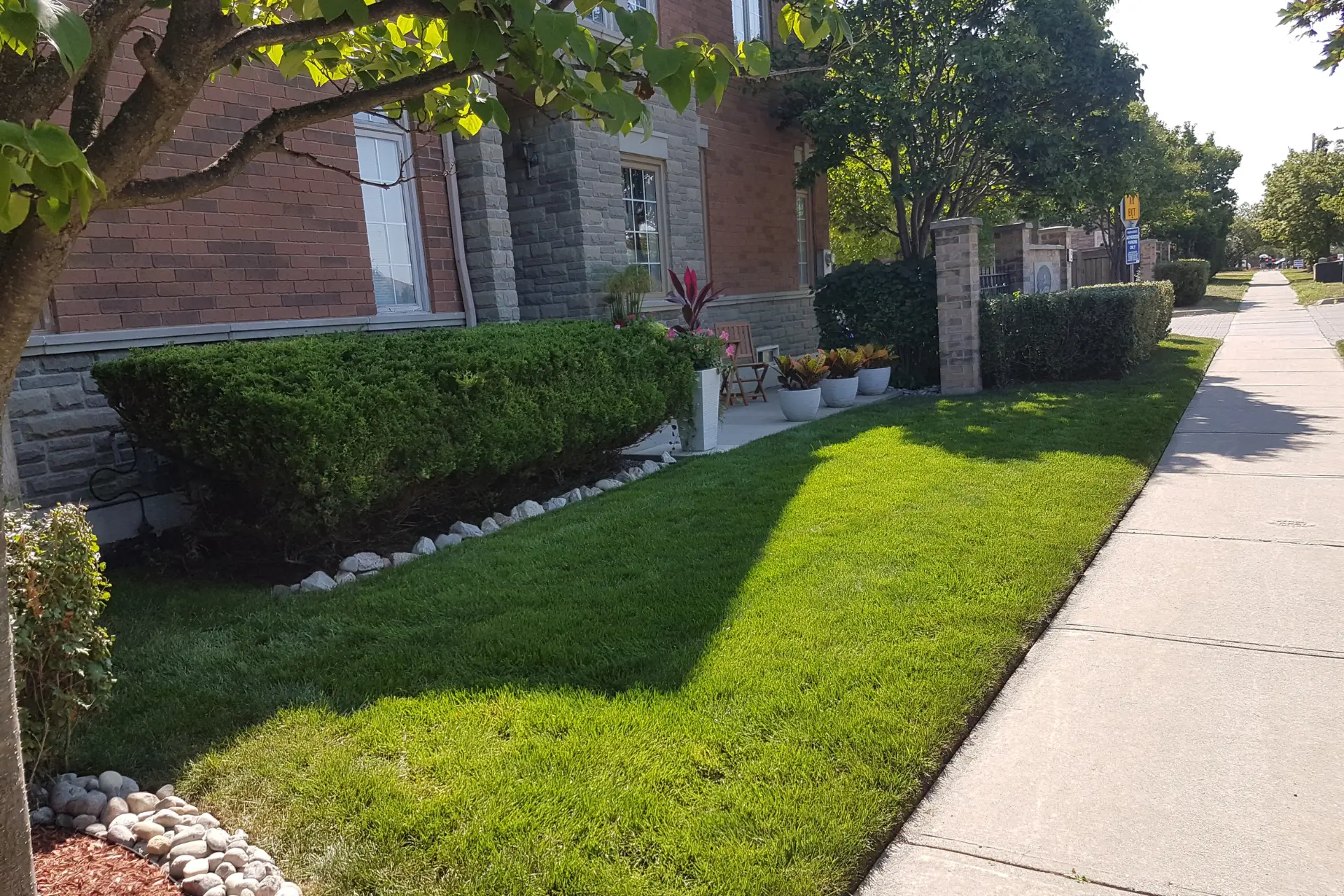 Well-manicured front lawn beside brick building and sidewalk